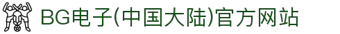 BG电子(中国大陆)官方网站