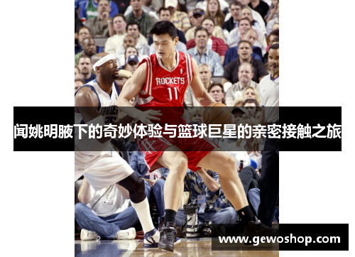 闻姚明腋下的奇妙体验与篮球巨星的亲密接触之旅