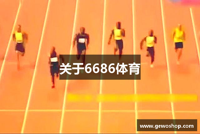 关于6686体育